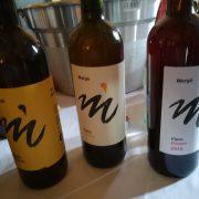Vinnatur, il vino naturale a Villa Favorita Vinnatur, il vino naturale a Villa Favorita