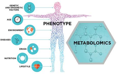 Metabolomica e metaboloma per la ricerca sulle malattie autoimmuni metabolonoma - Gluten Free Travel and Living