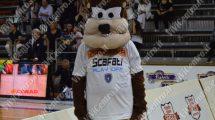 Le foto di Givova Scafati vs Bondi Ferrara (76-67) | ViViCentro Le foto di Givova Scafati vs Bondi Ferrara (76-67) | ViViCentro