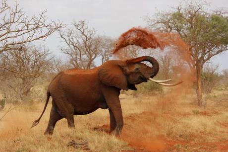 5 cose da sapere prima di partire con lo zaino in spalla per l’Africa 5 cose da sapere prima di partire con lo zaino in spalla per l’Africa