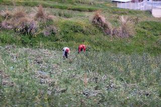 Il Perù, gli Inca, il mal di montagna, le foglie di coca e la tavolozza di colori delle Ande Il Perù, gli Inca, il mal di montagna, le foglie di coca e la tavolozza di colori delle Ande