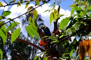 Il Perù, gli Inca, il mal di montagna, le foglie di coca e la tavolozza di colori delle Ande Il Perù, gli Inca, il mal di montagna, le foglie di coca e la tavolozza di colori delle Ande