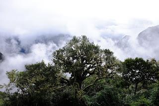 Il Perù, gli Inca, il mal di montagna, le foglie di coca e la tavolozza di colori delle Ande Il Perù, gli Inca, il mal di montagna, le foglie di coca e la tavolozza di colori delle Ande
