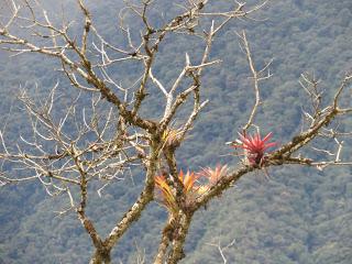 Il Perù, gli Inca, il mal di montagna, le foglie di coca e la tavolozza di colori delle Ande Il Perù, gli Inca, il mal di montagna, le foglie di coca e la tavolozza di colori delle Ande