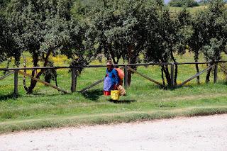 Il Perù, gli Inca, il mal di montagna, le foglie di coca e la tavolozza di colori delle Ande Il Perù, gli Inca, il mal di montagna, le foglie di coca e la tavolozza di colori delle Ande