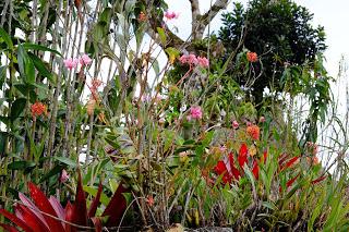 Il Perù, gli Inca, il mal di montagna, le foglie di coca e la tavolozza di colori delle Ande Il Perù, gli Inca, il mal di montagna, le foglie di coca e la tavolozza di colori delle Ande