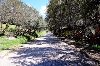Il Perù, gli Inca, il mal di montagna, le foglie di coca e la tavolozza di colori delle Ande Il Perù, gli Inca, il mal di montagna, le foglie di coca e la tavolozza di colori delle Ande
