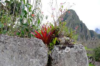 Il Perù, gli Inca, il mal di montagna, le foglie di coca e la tavolozza di colori delle Ande Il Perù, gli Inca, il mal di montagna, le foglie di coca e la tavolozza di colori delle Ande