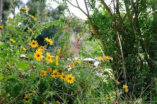 Il Perù, gli Inca, il mal di montagna, le foglie di coca e la tavolozza di colori delle Ande Il Perù, gli Inca, il mal di montagna, le foglie di coca e la tavolozza di colori delle Ande