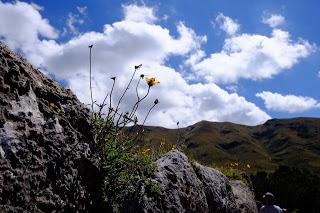 Il Perù, gli Inca, il mal di montagna, le foglie di coca e la tavolozza di colori delle Ande Il Perù, gli Inca, il mal di montagna, le foglie di coca e la tavolozza di colori delle Ande
