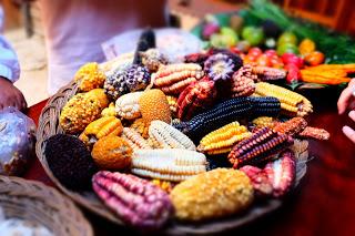 Il Perù, gli Inca, il mal di montagna, le foglie di coca e la tavolozza di colori delle Ande Il Perù, gli Inca, il mal di montagna, le foglie di coca e la tavolozza di colori delle Ande