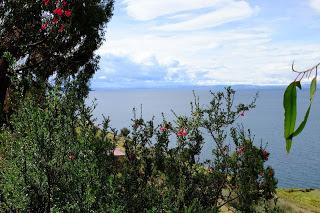 Il Perù, gli Inca, il mal di montagna, le foglie di coca e la tavolozza di colori delle Ande Il Perù, gli Inca, il mal di montagna, le foglie di coca e la tavolozza di colori delle Ande