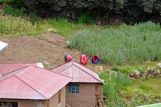 Il Perù, gli Inca, il mal di montagna, le foglie di coca e la tavolozza di colori delle Ande Il Perù, gli Inca, il mal di montagna, le foglie di coca e la tavolozza di colori delle Ande