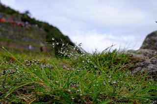Il Perù, gli Inca, il mal di montagna, le foglie di coca e la tavolozza di colori delle Ande Il Perù, gli Inca, il mal di montagna, le foglie di coca e la tavolozza di colori delle Ande