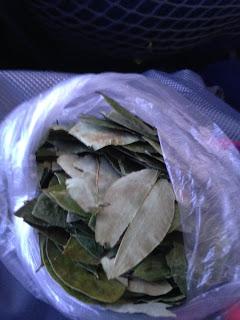 Il Perù, gli Inca, il mal di montagna, le foglie di coca e la tavolozza di colori delle Ande Il Perù, gli Inca, il mal di montagna, le foglie di coca e la tavolozza di colori delle Ande