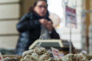Il maltempo non ha frenato la ‘voglia’ di fiera Carolingia Il maltempo non ha frenato la ‘voglia’ di fiera Carolingia