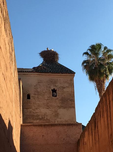 Sera in Marocco: Marrakech Sera in Marocco: Marrakech