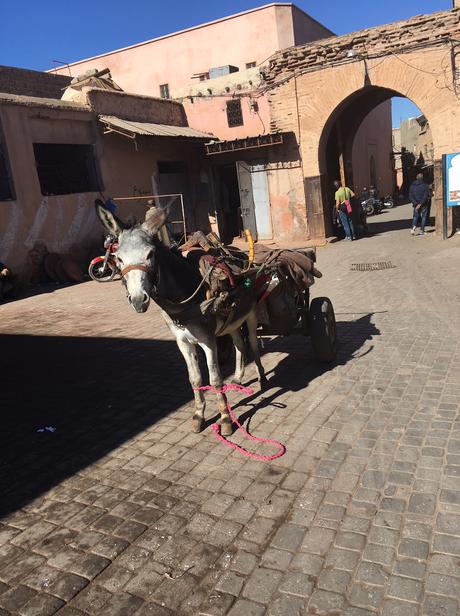 Sera in Marocco: Marrakech Sera in Marocco: Marrakech