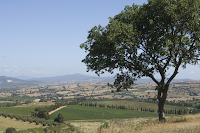 Consorzio Tutela Vini della DOC Maremma Toscana: Ritorna Maremmachevini! Consorzio Tutela Vini della DOC Maremma Toscana: Ritorna Maremmachevini!