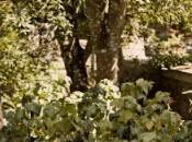 donna futuro dell'uomo