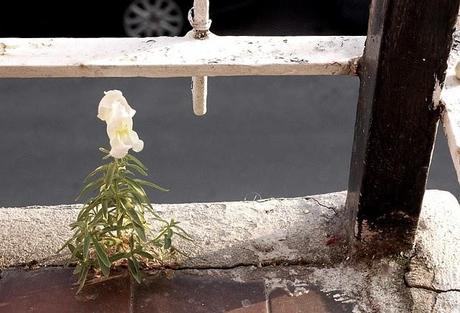 365project • pic 262/365