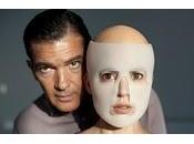 Cannes spazio bianco