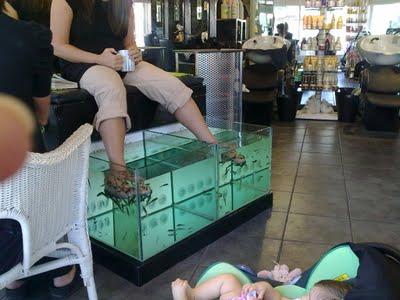 Fish Pedicure ;)