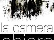 camera chiara: Performance mostra Piero Marsili Libelli