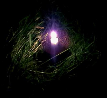 Candle in the grass