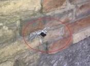 Dead drop obiettivo condividere