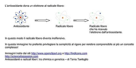 Antiossidanti e radicali liberi: tra chimica e genetica