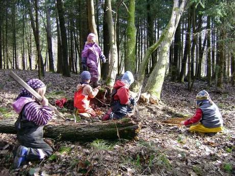 LE SCUOLE DEL BOSCO