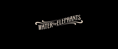 Review 2011-  Come l'acqua per gli elefanti