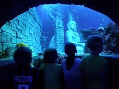 2 mamme 5 bambini: una giornata all'acquario!