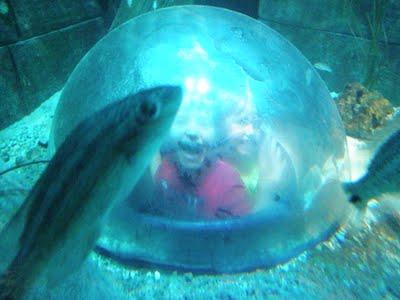 2 mamme 5 bambini: una giornata all'acquario!