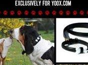 Moschino Pets Exclusively yoox.com