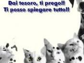 Tradimenti infedeltà: scappatelle fanno bene rapporto?