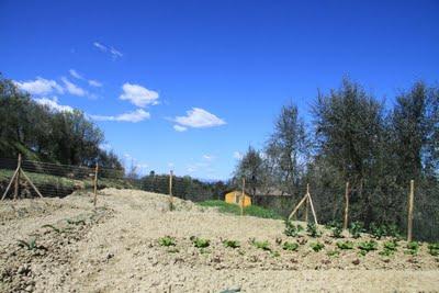 prima strusciata di bocce