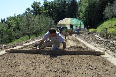 prima strusciata di bocce