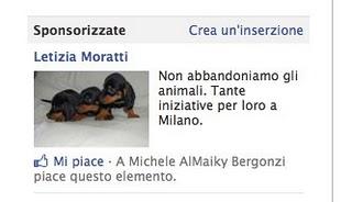 Moratti: Cagnetti (e Milan e Gattini) per la propaganda elettorale. E Sucate?