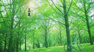 立夏 Inizio dell'Estate / Beginning of Summer 立夏 Inizio dell'Estate / Beginning of Summer