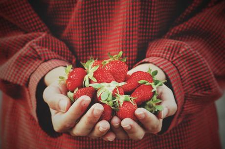 Frutta e verdura di stagione (e anche i pesci) fragole di stagione - Gluten Free Travel and Living