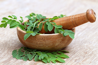 Everton: Dall' India arriva la Moringa Everton: Dall' India arriva la Moringa
