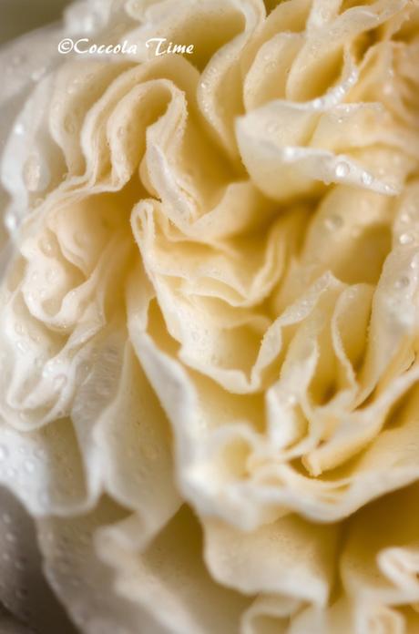 Un risotto alle rose…. per #SEGUILESTAGIONI di MAGGIO Un risotto alle rose…. per #SEGUILESTAGIONI di MAGGIO