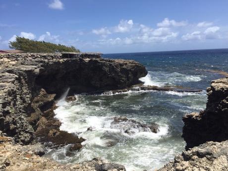 Vacanza a Barbados, Caraibi: consigli utili barbados-caraibi-cosa-fare