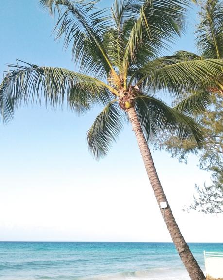 Vacanza a Barbados, Caraibi: consigli utili acanza-barbados-spiagge