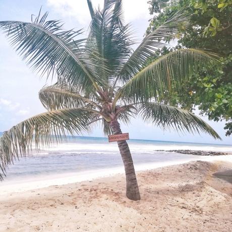Vacanza a Barbados, Caraibi: consigli utili carabi-barbados-viaggio-nozze