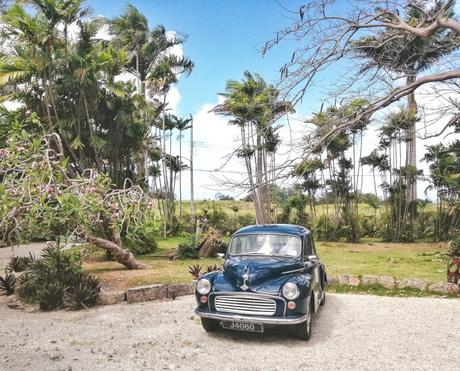 Vacanza a Barbados, Caraibi: consigli utili carabi-barbados-viaggio-nozze