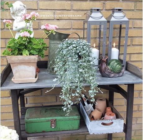 Un romantico cottage L'immagine può contenere: 1 persona