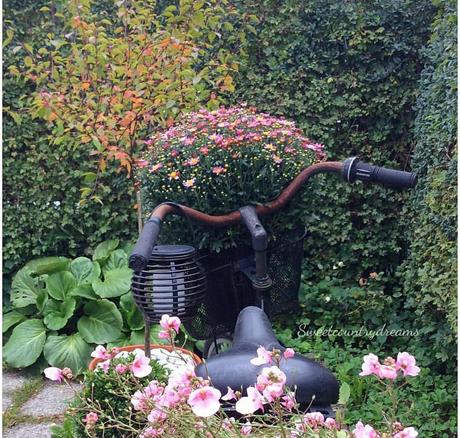 Un romantico cottage L'immagine può contenere: pianta, fiore, spazio all'aperto e natura